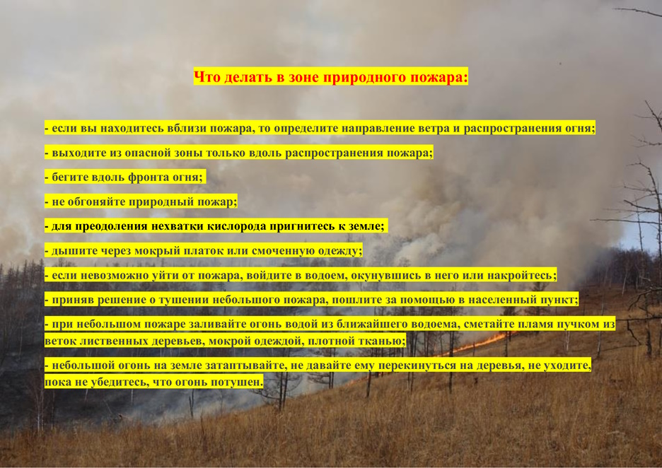 Что делать в зоне природного пожара